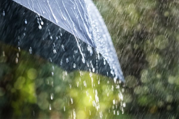 depositphotos_89412584-stock-photo-rain-drops-falling-on-umbrella.jpg